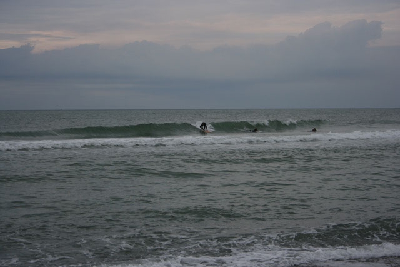 Surf