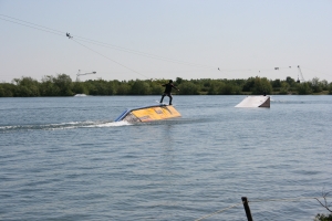 Surf