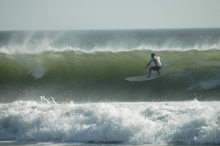 Surf